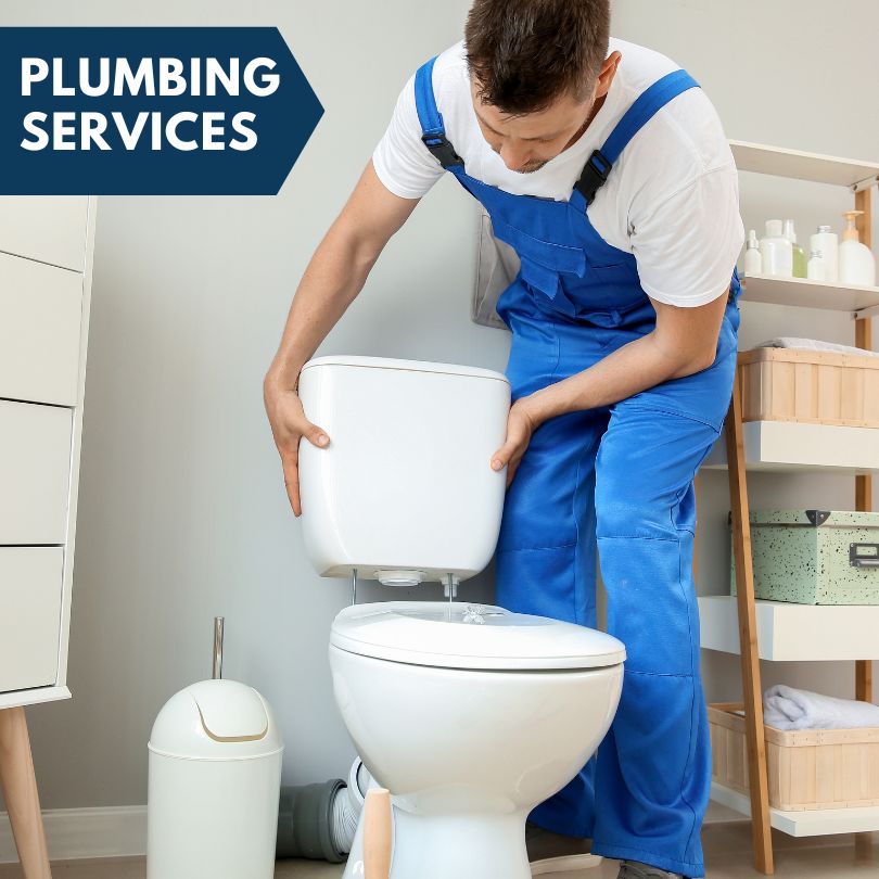 Plumbing Company in Dalton, NY